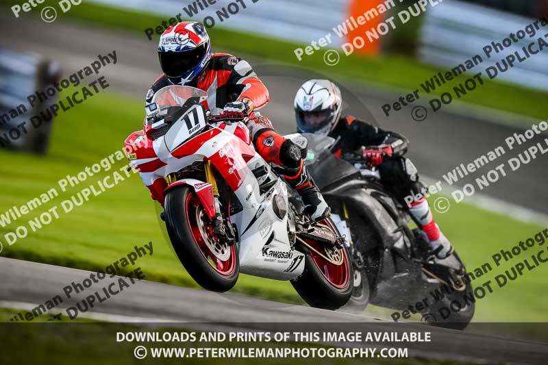 PJ Motorsport 2019;anglesey;brands hatch;cadwell park;croft;donington park;enduro digital images;event digital images;eventdigitalimages;mallory;no limits;oulton park;peter wileman photography;racing digital images;silverstone;snetterton;trackday digital images;trackday photos;vmcc banbury run;welsh 2 day enduro